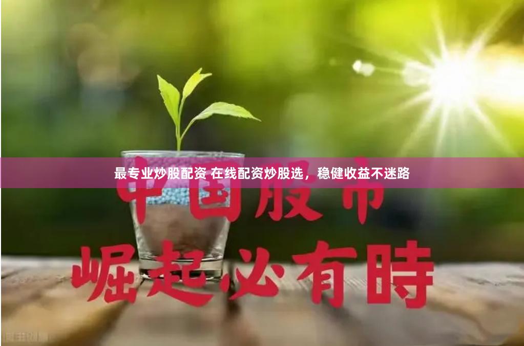 最专业炒股配资 在线配资炒股选，稳健收益不迷路