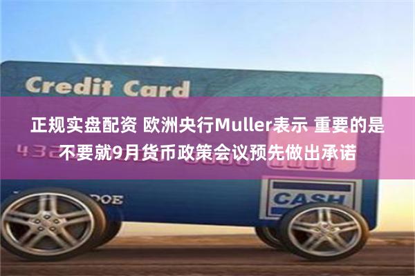 正规实盘配资 欧洲央行Muller表示 重要的是不要就9月货币政策会议预先做出承诺