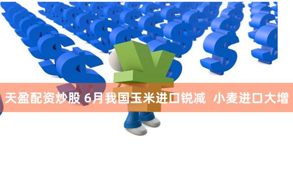 天盈配资炒股 6月我国玉米进口锐减  小麦进口大增