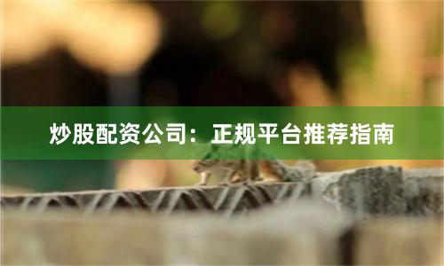 炒股配资公司：正规平台推荐指南